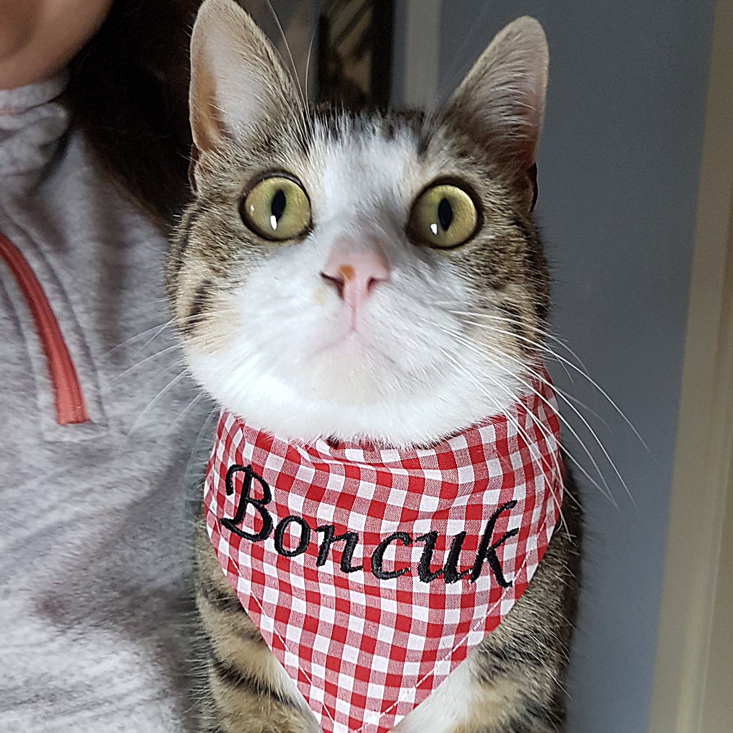 Personalised Embroidered Dog and Cat Bandana, red and white - Sugar Gecko