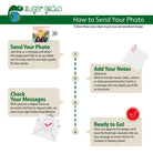 Infographic showing steps to send a photo for a customized 3D cartoon portrait illustration.