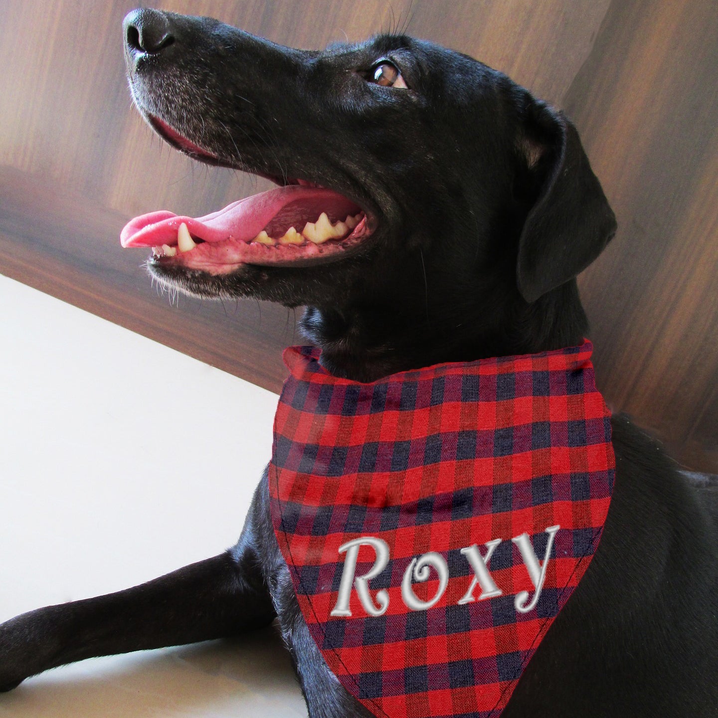 Personalised Embroidered Dog and Cat Bandana, blue and red - Sugar Gecko